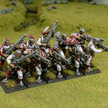 Arcabuceros Pintados